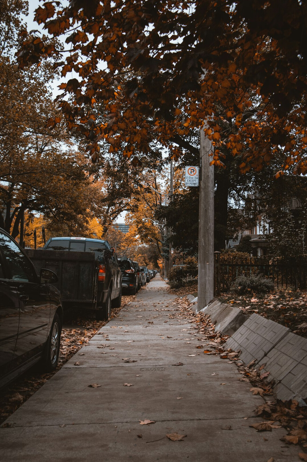 Row houses lining a quiet residential street in a Canadian neighborhood