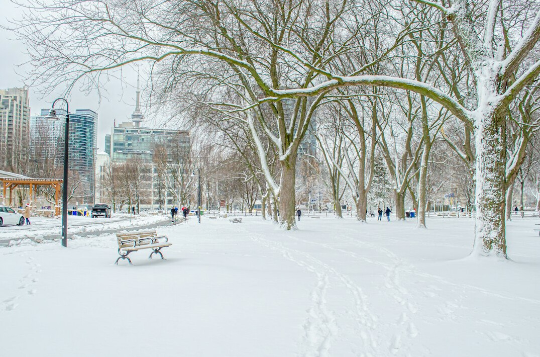 Snow covered street in a Canadian city during winter